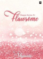 Flawsome By Shaanis
